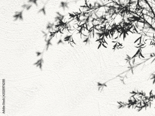 Tableau sur toile 植物の影が映る白い壁