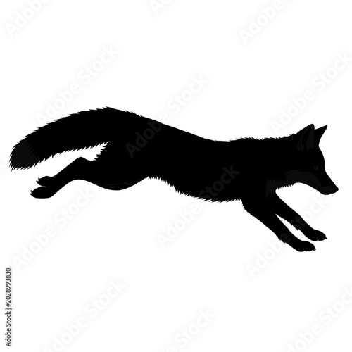Fotografi Silhouette of a fox in mid-leap, showcasing its dynamic movement and bushy tail against a white background
