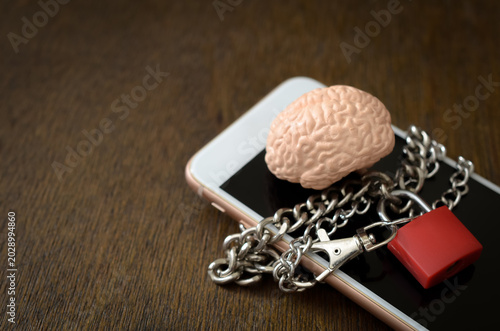 Conceptual Image of Protecting Cognitive Health and Mental Well Being From Digital Distractions