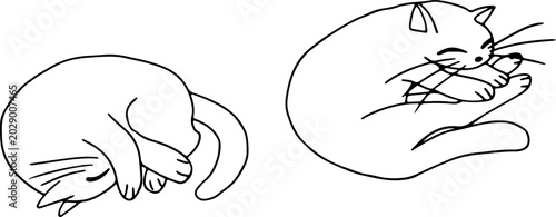 Hand-drawn illustration of two cozy sleeping cats curled in a ball. Created with crooked, expressive lines, grunge style