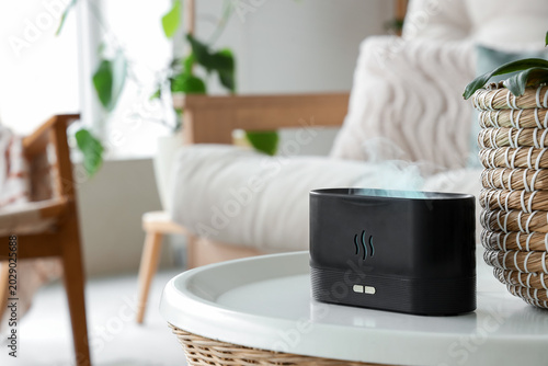 Air humidifier with plant o...