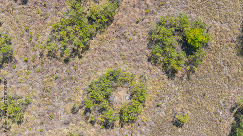 Photos Murundu fields are geomorphological formations, with small convex mounds of earth up to 20 meters in diameter as groundwater recharge areas, they are threatened with extinction
