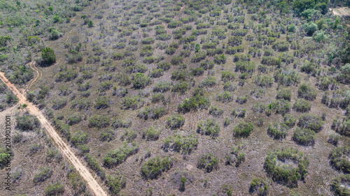 Foto Murundu fields are geomorphological formations, with small convex mounds of earth up to 20 meters in diameter as groundwater recharge areas, they are threatened with extinction
