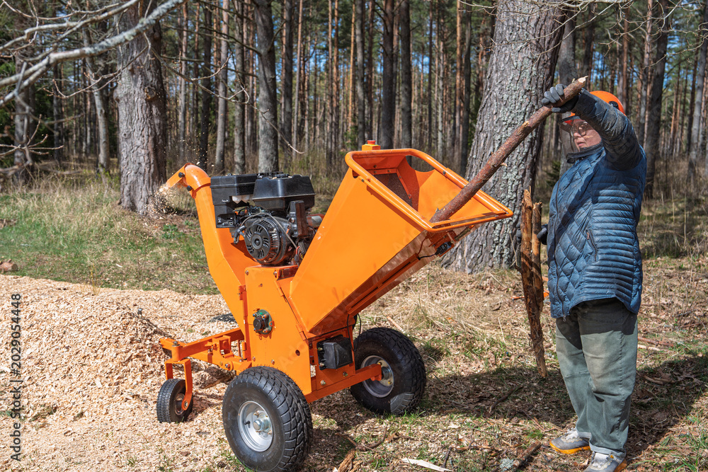 Fototapeta premium A man is feeding branches into a wood chipper to create mulch in a forest. He is wearing safety glasses and a helmet The wood chipper is orange and has a pile of wood chips next to