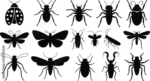 Quadro su tela Insects and arachnids silhouettes vector icon set
