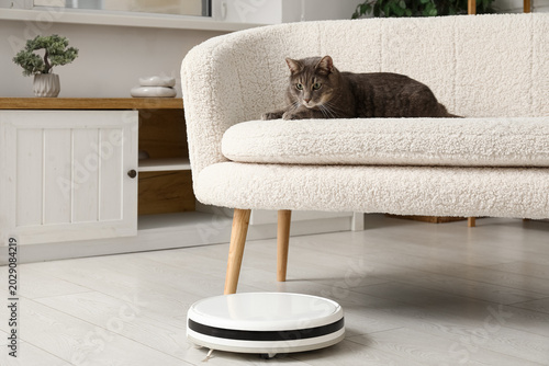 Robot vacuum cleaner and cu...