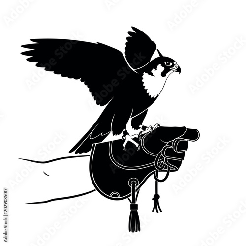 Tableau sur toile Falcon perched on a falconers gloved hand.