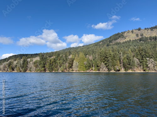 Tree covered mountain on the coast on a sunny day