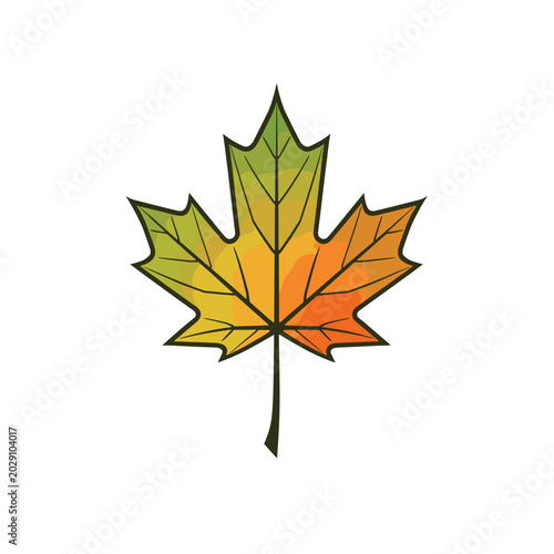 Bild auf Leinwand A stylized illustration of a single maple leaf, transitioning in color from green to yellow to orange, against a white background