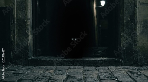 Eerie Dark Entrance - Mysterious Eyes Glimmering in the Shadows.