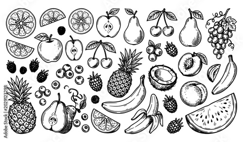 Fotografie Vintage Fruits and Berries Sketch Doodle Vector Set Black White Food Illustratio