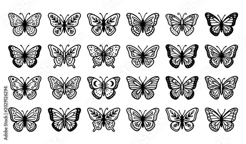 Fotografi Ornamental Butterfly Line Art