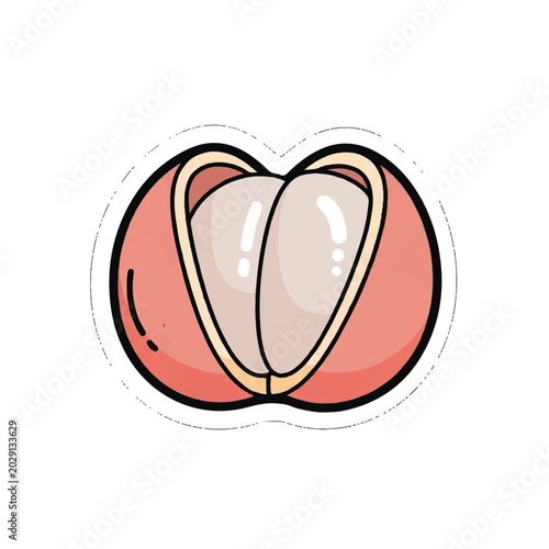Cartoon illustration of a peach.