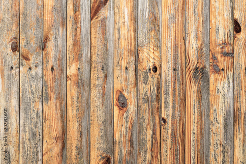 Εκτύπωση καμβά Wall of ash wood texture background macro