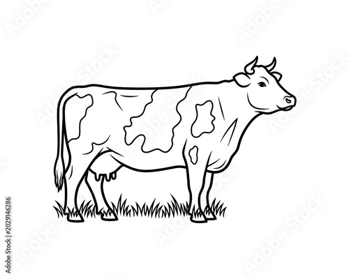 Line drawing of a dairy cow standing in grass, showing a farm animal with spots
