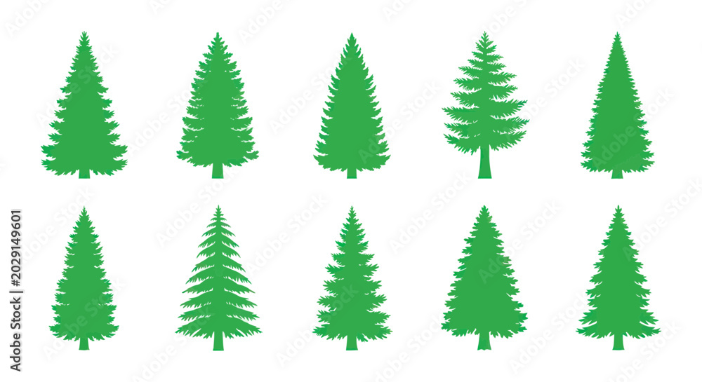 Obraz premium Set of Green Pine Trees Icons, Vector Graphics, Isolated on White Background