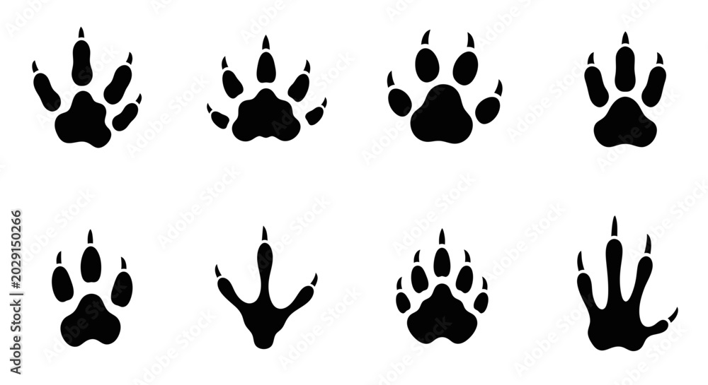 Fototapeta premium Collection of Animal Paw Prints, Wildlife Tracks, Mammal Footprints
