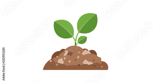 Cuadro en lienzo Green sprout growing from fertile soil, concept of new life and growth