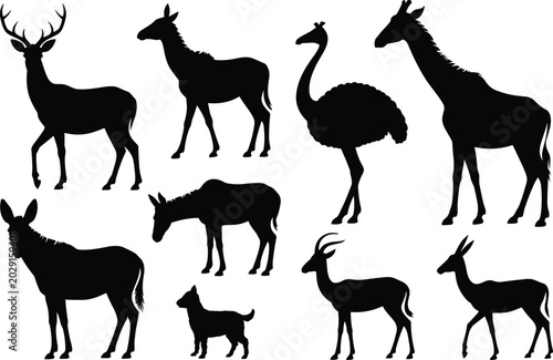 Photography Wild Animal Silhouette Collection Featuring Deer, Giraffe, Ostrich, Donkey, and