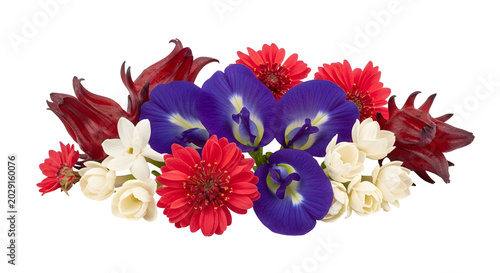 Vibrant arrangement of fresh butterfly pea flowers roselle and jasmine blossoms.