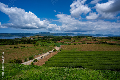 Obraz na płótnie 蔵之元&平尾展望所からの風景（長島町）