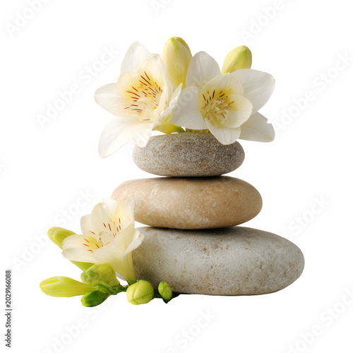White flowers on stacked zen stones isolated on white background