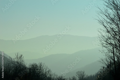 morning fog and sun rays