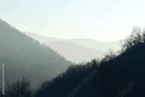 morning fog and sun rays