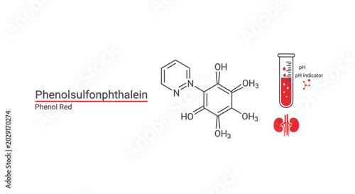 Konstfotografi Vector illustration of Phenolsulfonphthalein (Phenol Red) chemical structure, featuring a test tube pH indicator and kidney icon for medical diagnostics