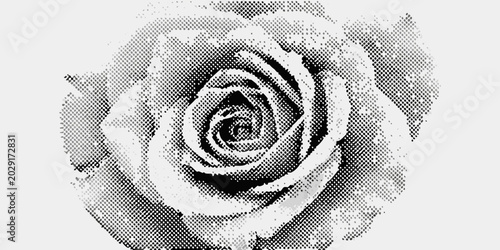rose flower in halftone dot pattern grayscale