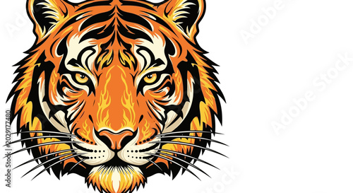 Fotografie Closeup of a tiger face.