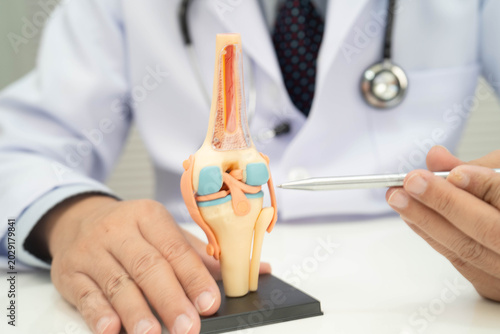 Asian doctor holding spinal nerve and bone model, Lumbar spine displaced herniated disc fragment for treatment medical in the orthopedic department.