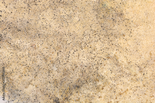 Quadro su tela Macro background of a spoiled bread surface covered with fuzzy black mold spots and fungal growth