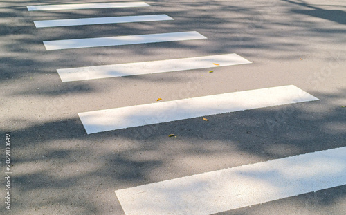 Foto Zebra Crossing on Asphalt Road