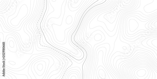 Topographic contour lines. Seamless pattern with lines Topographic map. Vector pattern background with mountains and flat land wavy line contours.