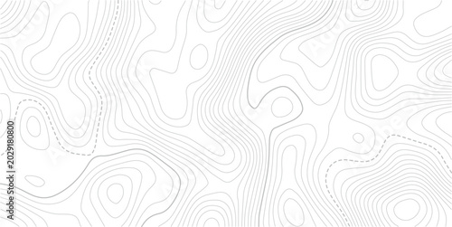 Topographic contour lines. Seamless pattern with lines Topographic map. Vector pattern background with mountains and flat land wavy line contours.