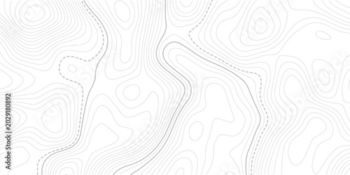 Topographic contour lines. Seamless pattern with lines Topographic map. Vector pattern background with mountains and flat land wavy line contours.