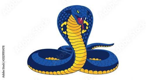 Fotografie Aggressive Blue Cobra Snake Illustration, Hooded Reptile Threatening Pose