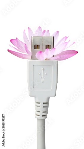 USB cable with pink flower decoration.