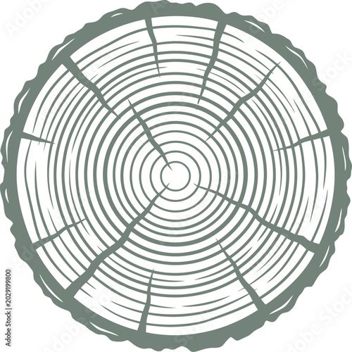 vector can be editable Circular wood slice showing annual growth rings and bark texture