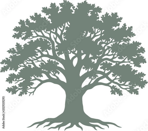 vector can be editable Spreading oak tree silhouette with expansive branches and roots