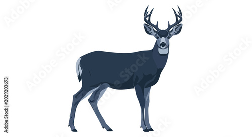 Bild auf Leinwand Majestic Deer With Antlers Standing Isolated on White Background - Vector Illust