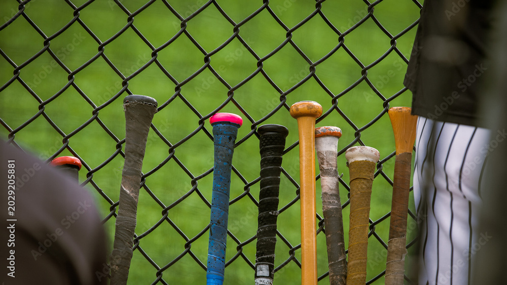 Εκτύπωση καμβά Baseball bats