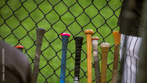 Quadro su tela Baseball bats