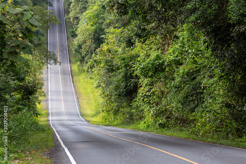 A long empty asphalt road stretching straight through a lush green tropical forest in a beautiful natural landscape.