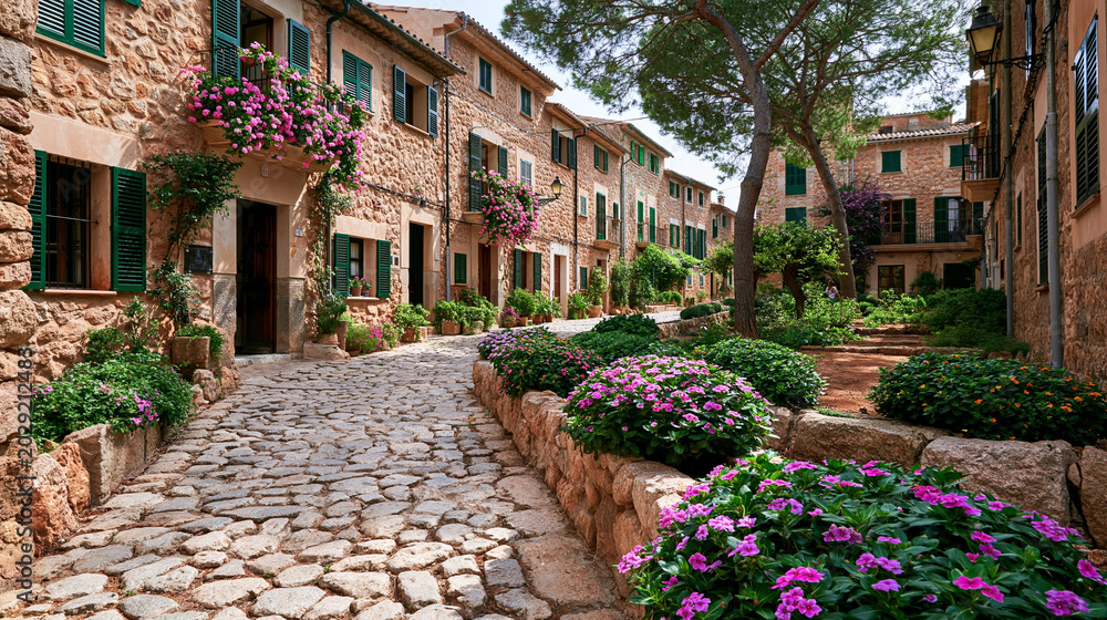 Fototapeta premium Charming cobblestone path winding through a historic old town village with traditional stone