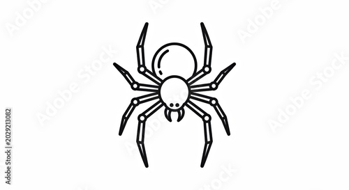 Black and White Line Drawing Spider With Eight Legs on Plain Background