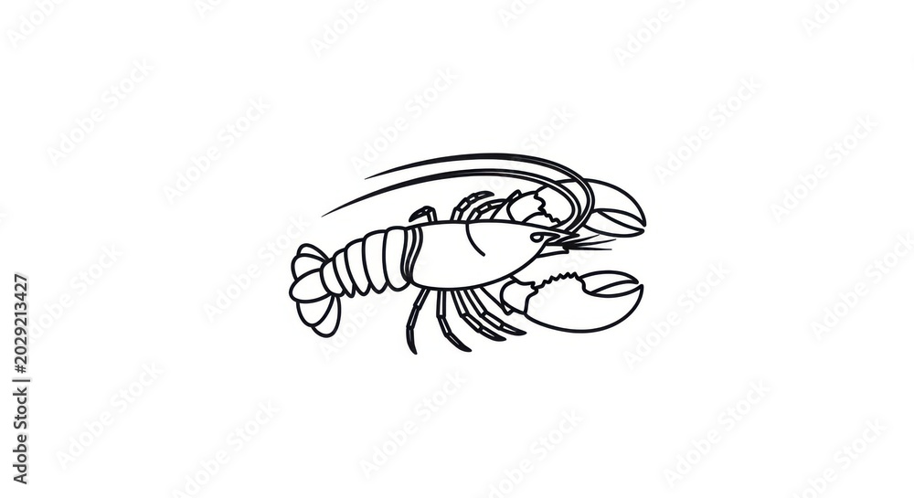 Fototapeta premium Line Drawing Lobster Illustration on White Background