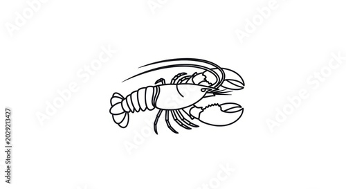 Line Drawing Lobster Illustration on White Background