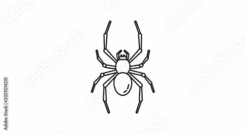 Stylized Spider on White Background for Educational and Graphic Design Use